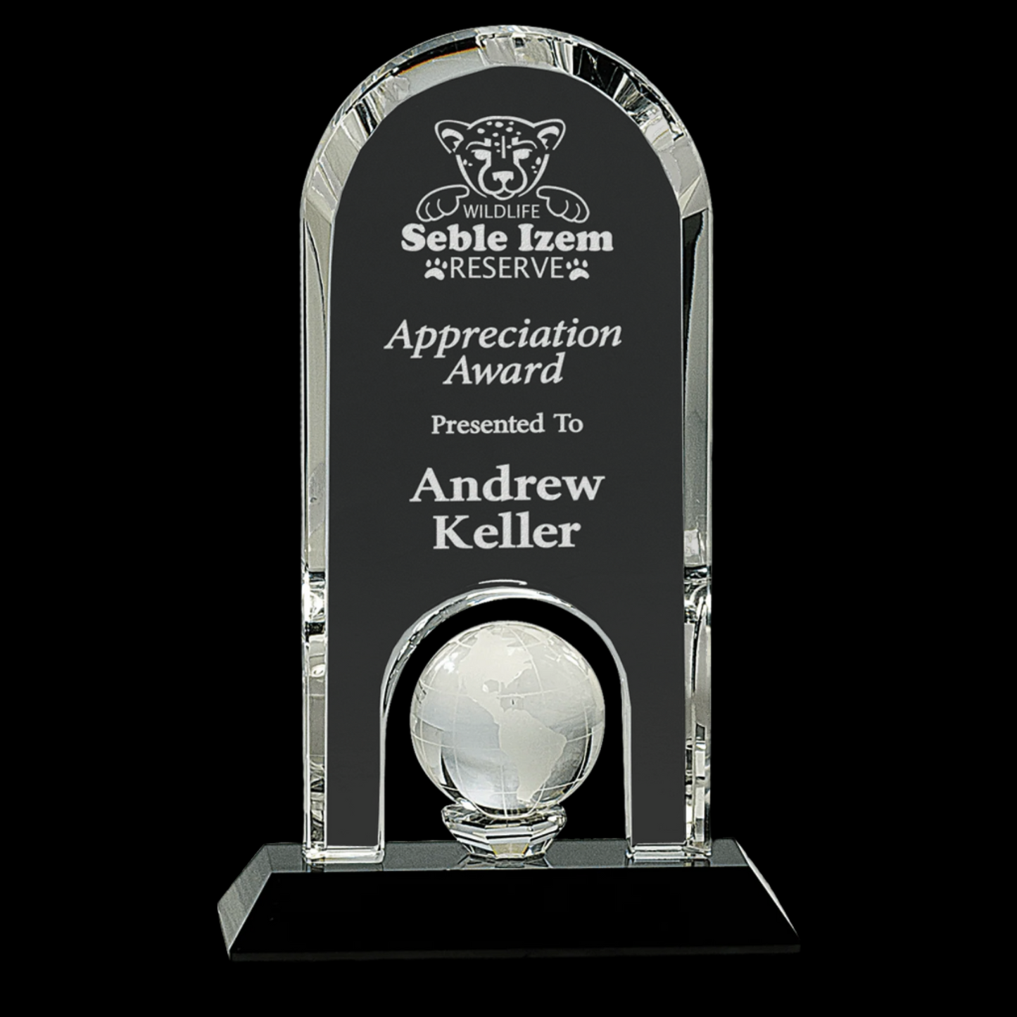 8.75" Clear Crystal Dome with Inset Globe On Black Pedestal Base