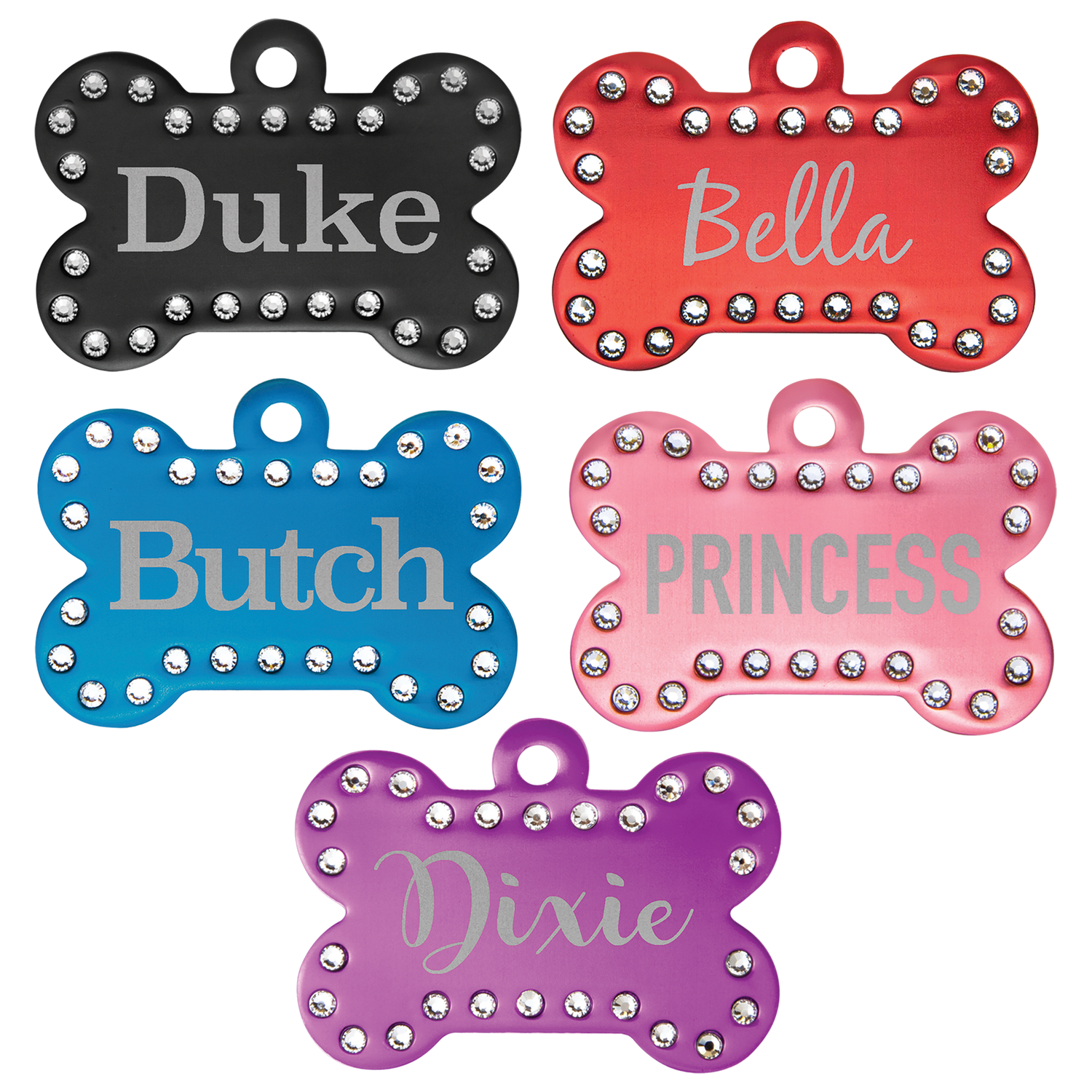 Pet Accessories