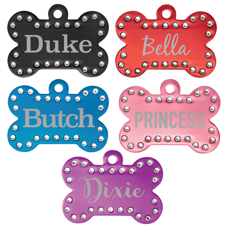 Pet Accessories